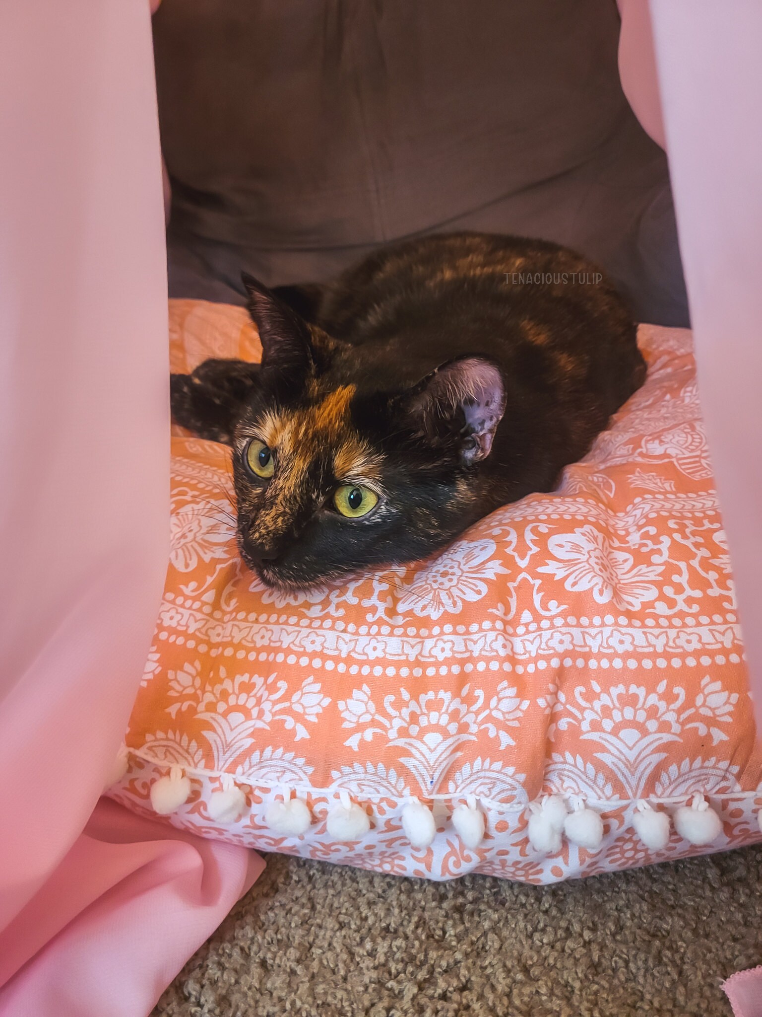 A tortishell cat sitting on a pillow