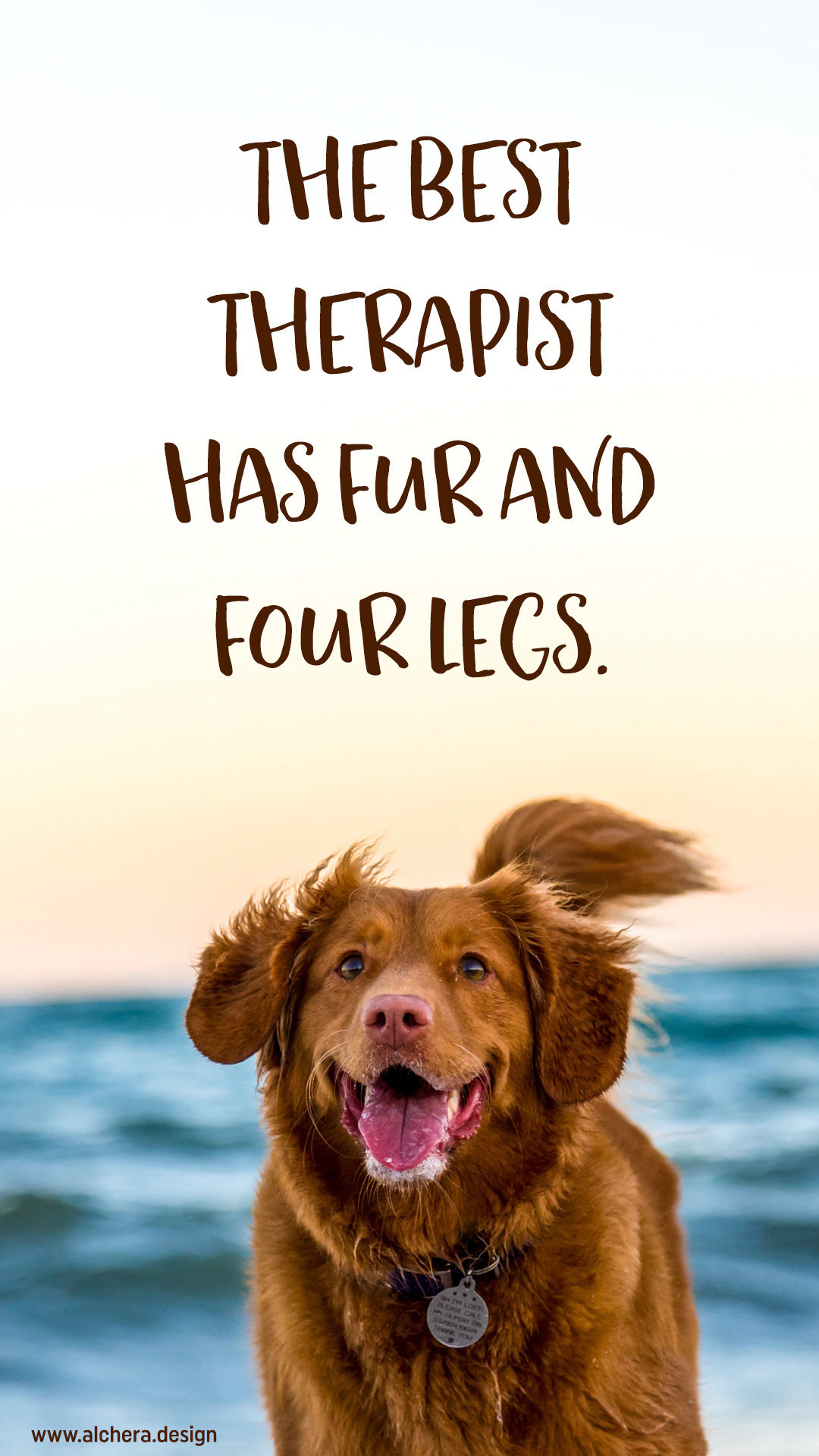 The best therapist has fur and four legs.