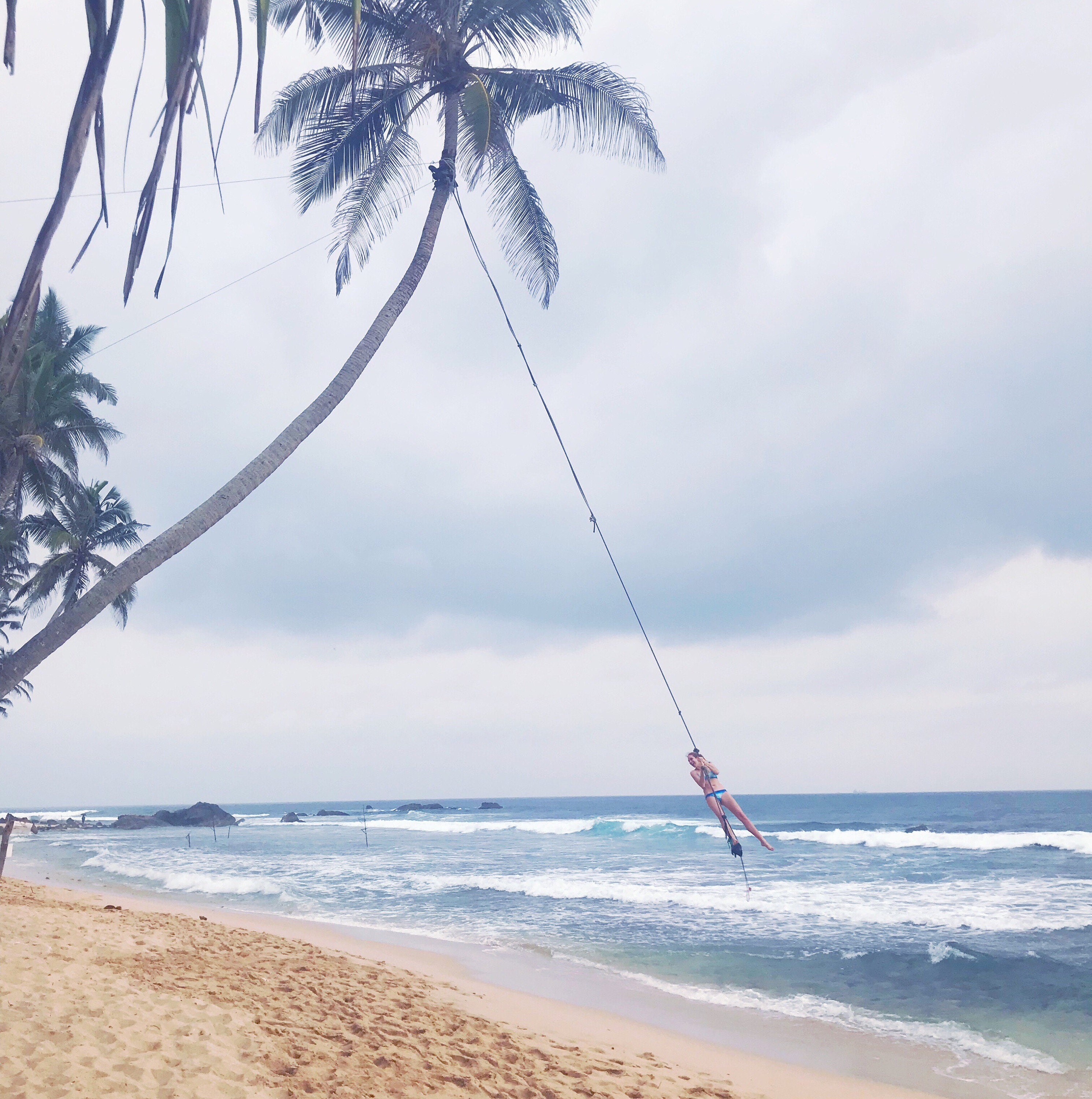Palm Tree Swing, Dallawella Beach