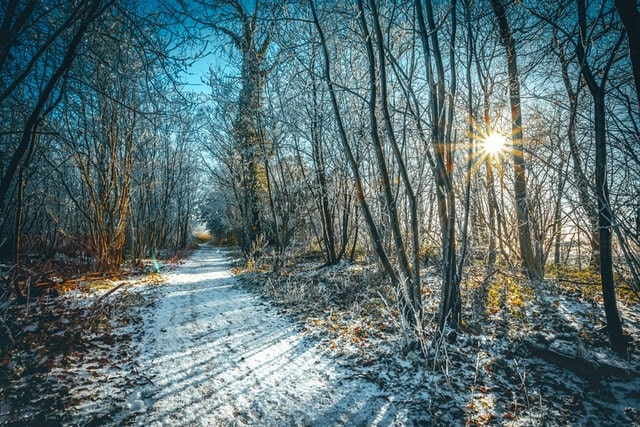 winter sun