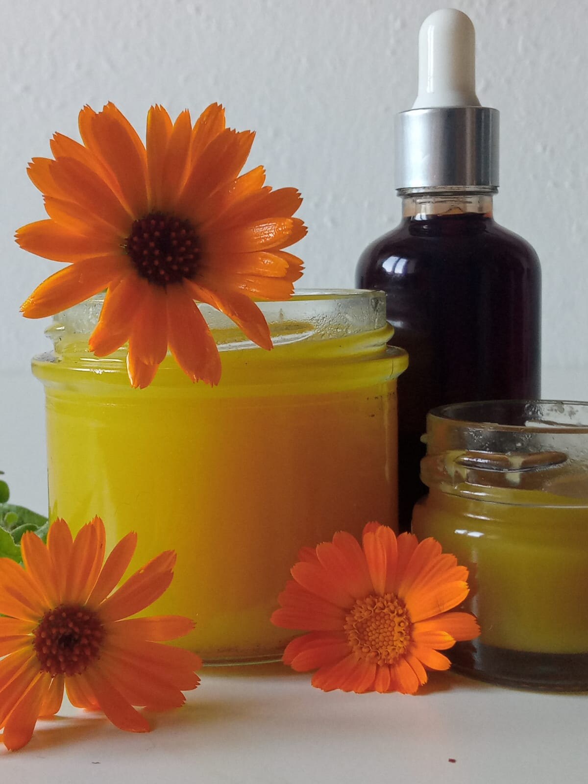 Calendula Salve and extract from The Green Witch Harvest