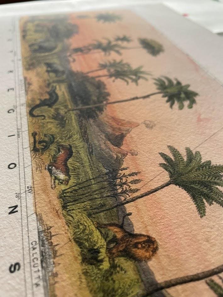 A view of nature in all climates on high quality archival paper