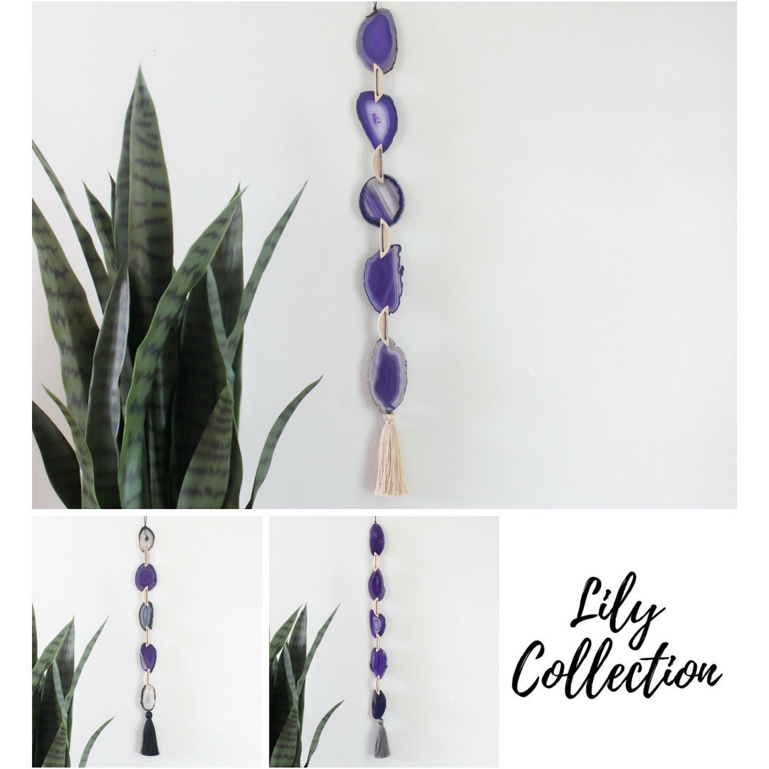 Lily Collection