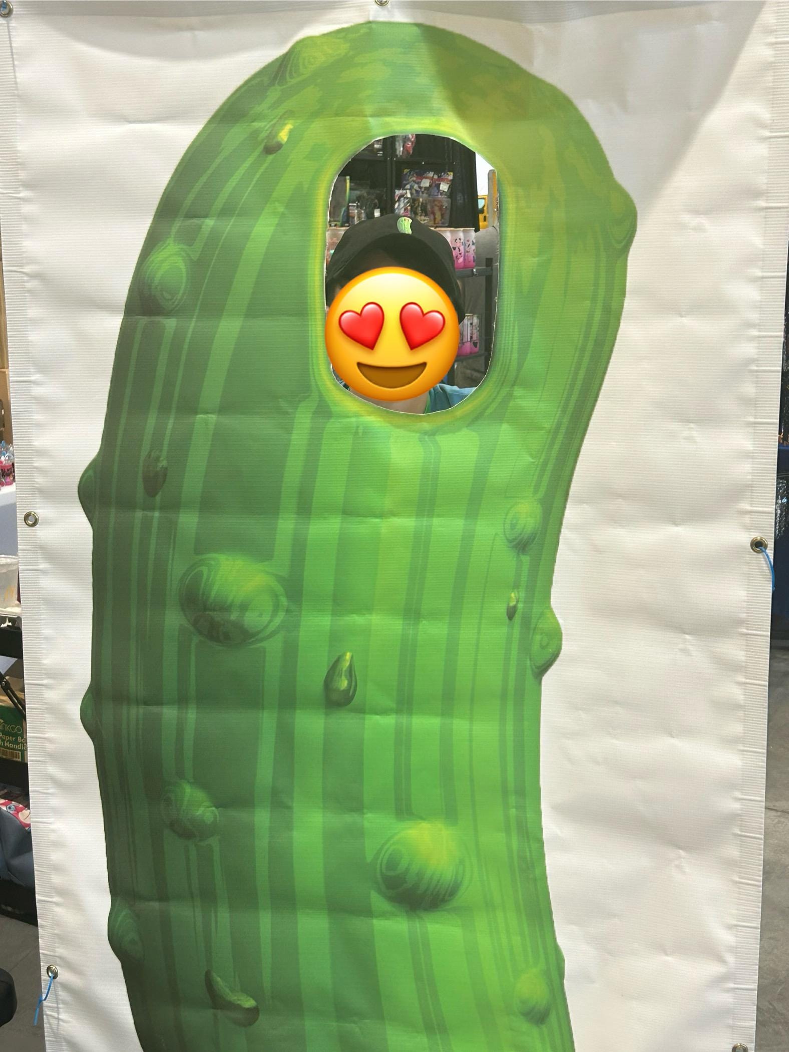 Average Pickle cut-out