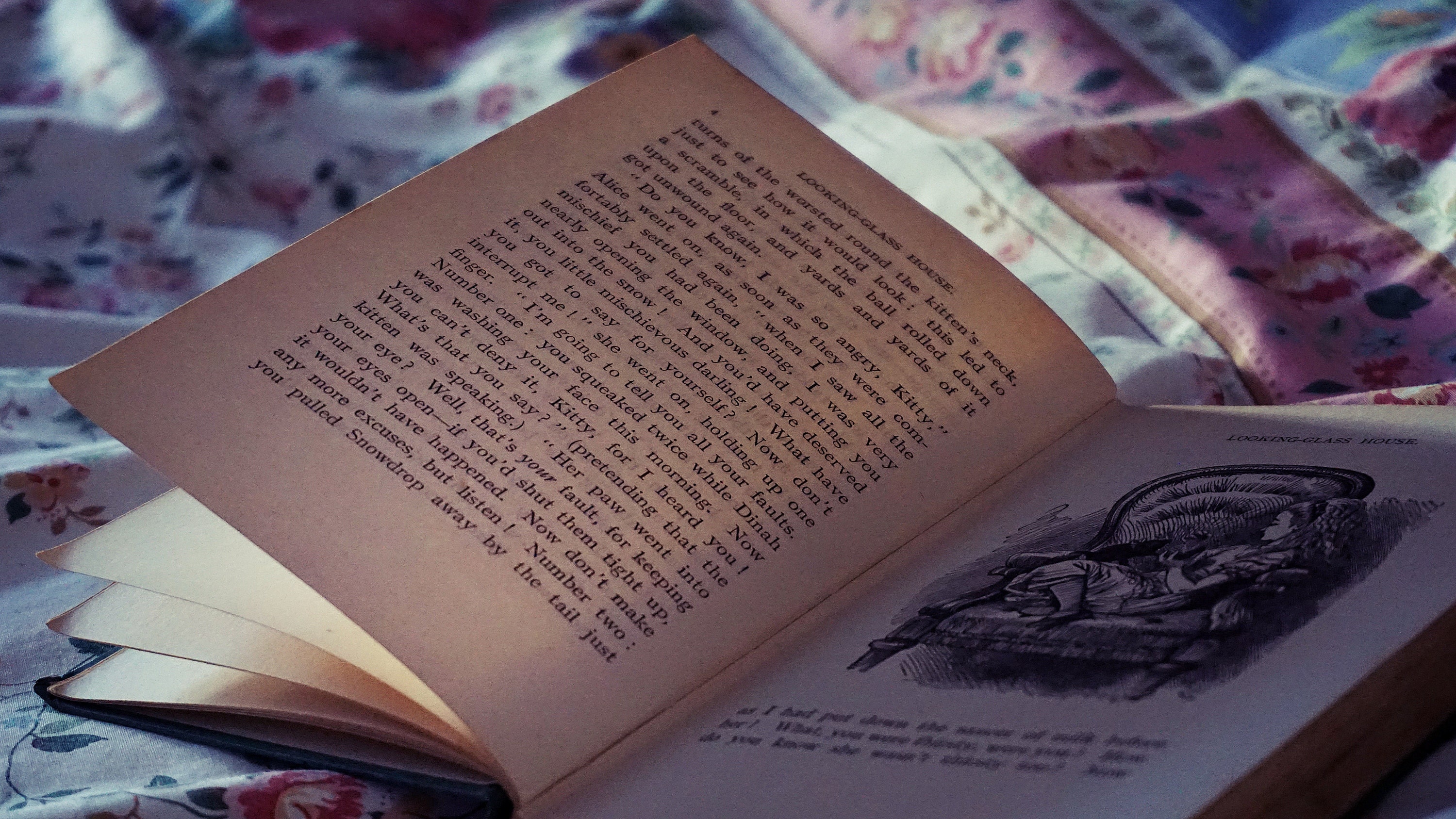 A used book, lying open on a quilt, showing an illustration and text. Photo by Suzy Hazelwood.