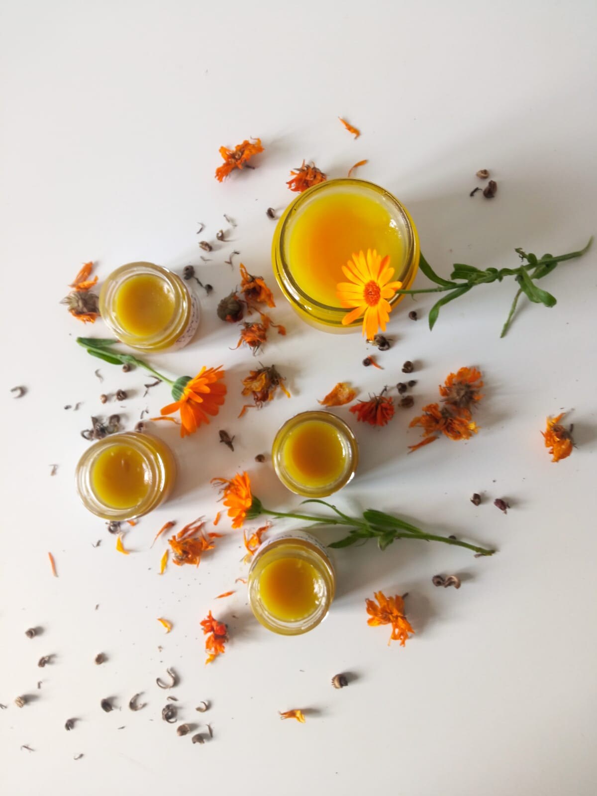 Calendula salves from The Green Witch Harvest