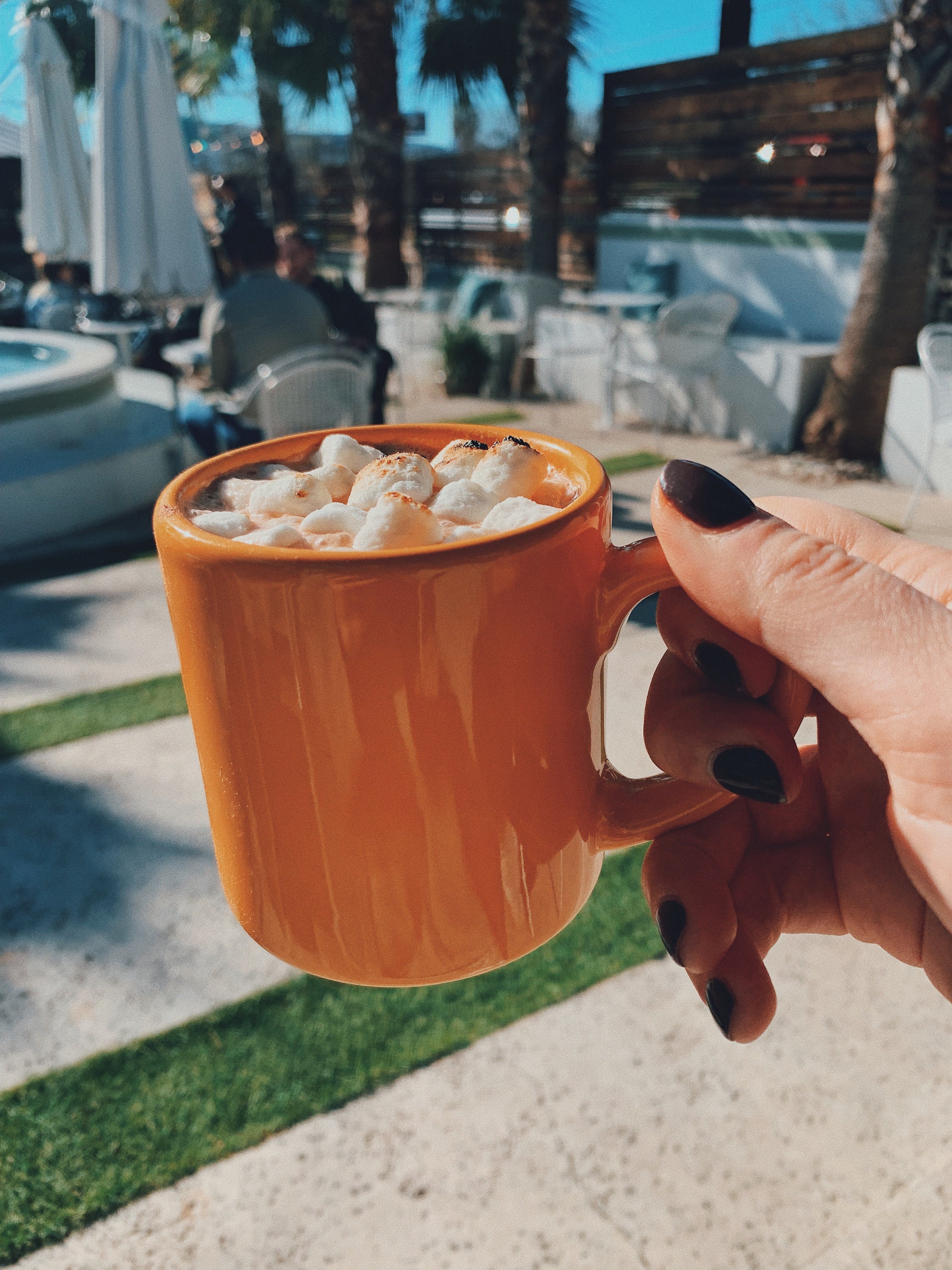 spiked cocoa kitty cohens austin texas