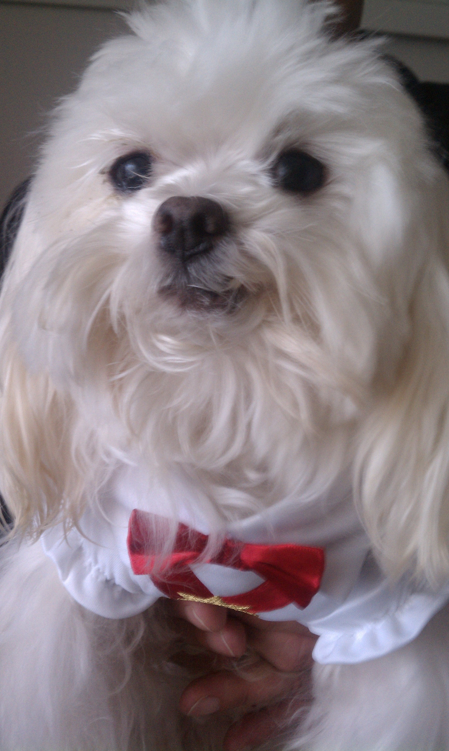 Whirly posing for his photo