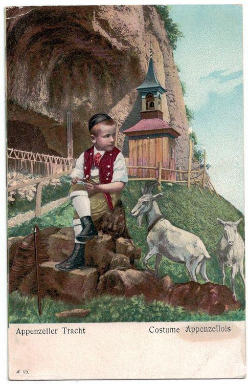 Appenzeller Ziegenmilch