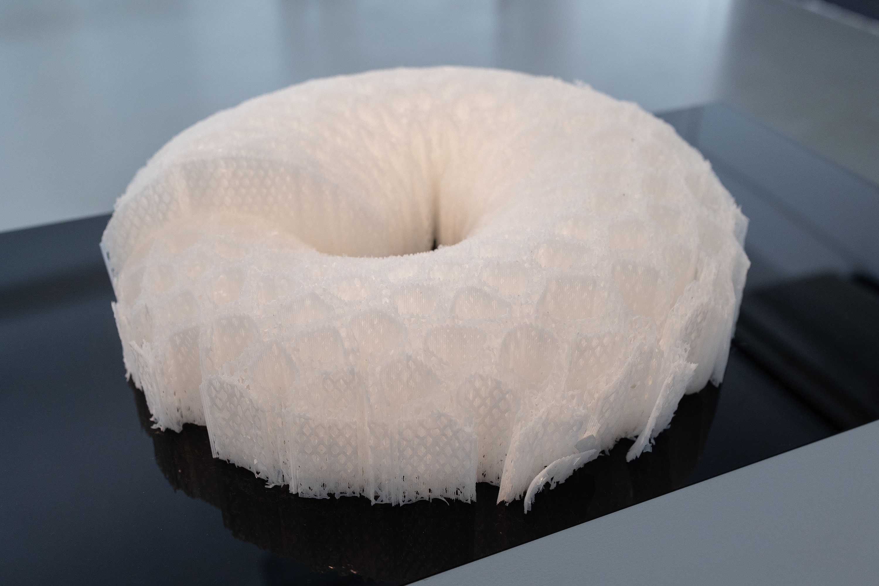 Biomimicry pavilion