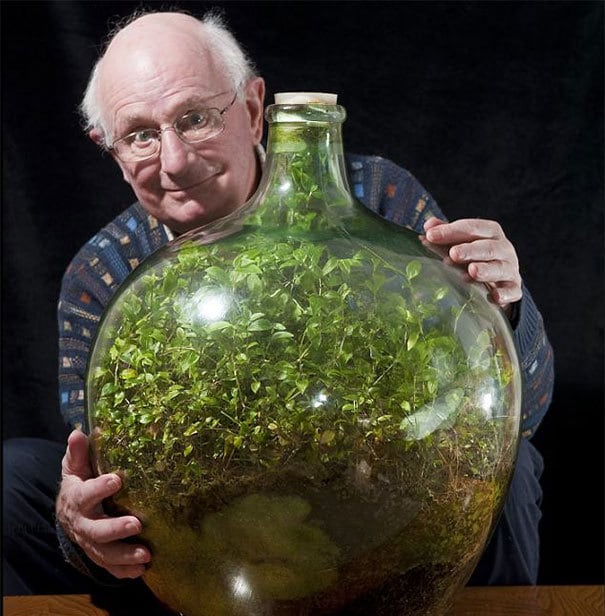 David Latimer and his 60 year old terrarium