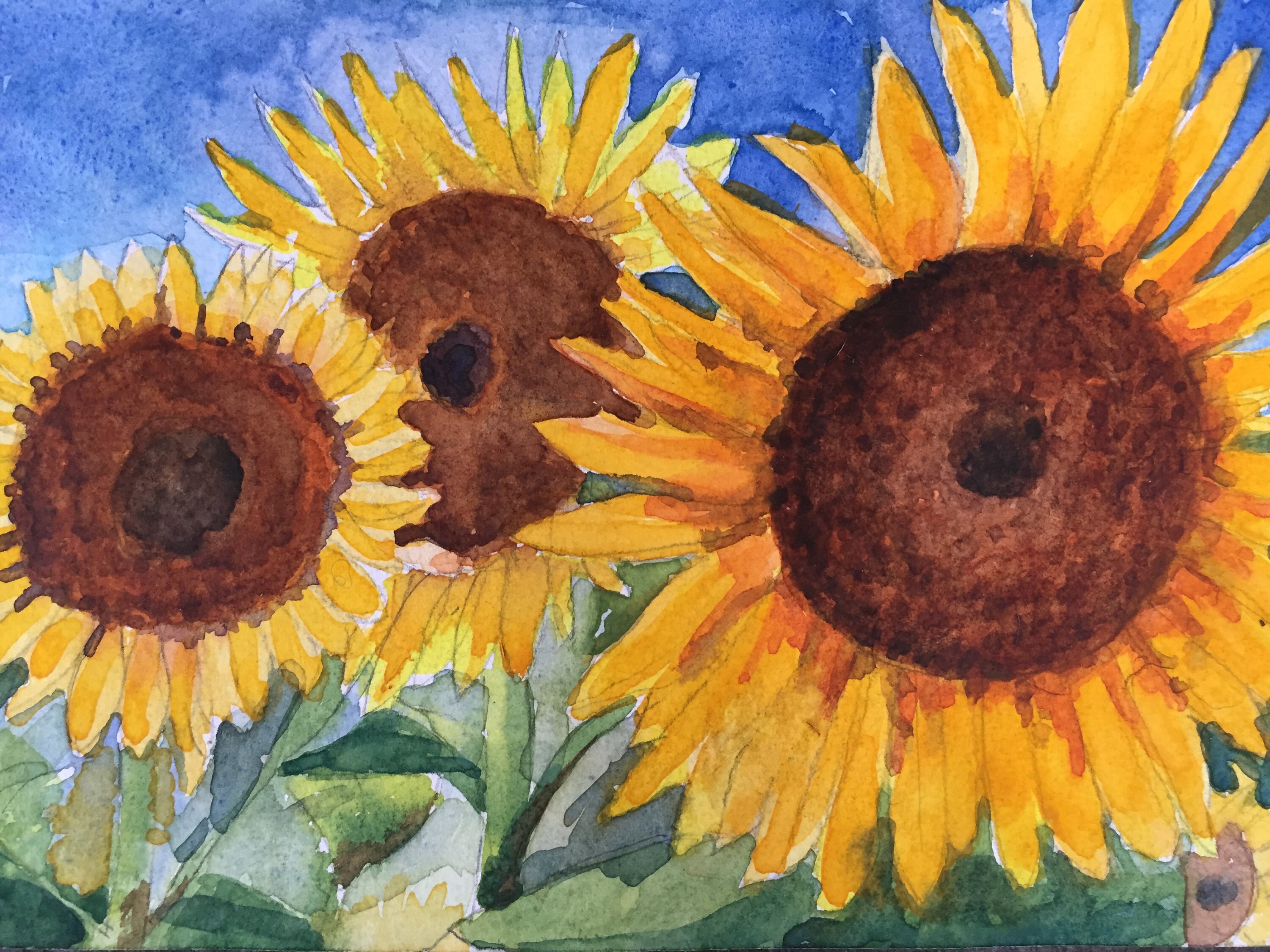 Sunflower Watercolor