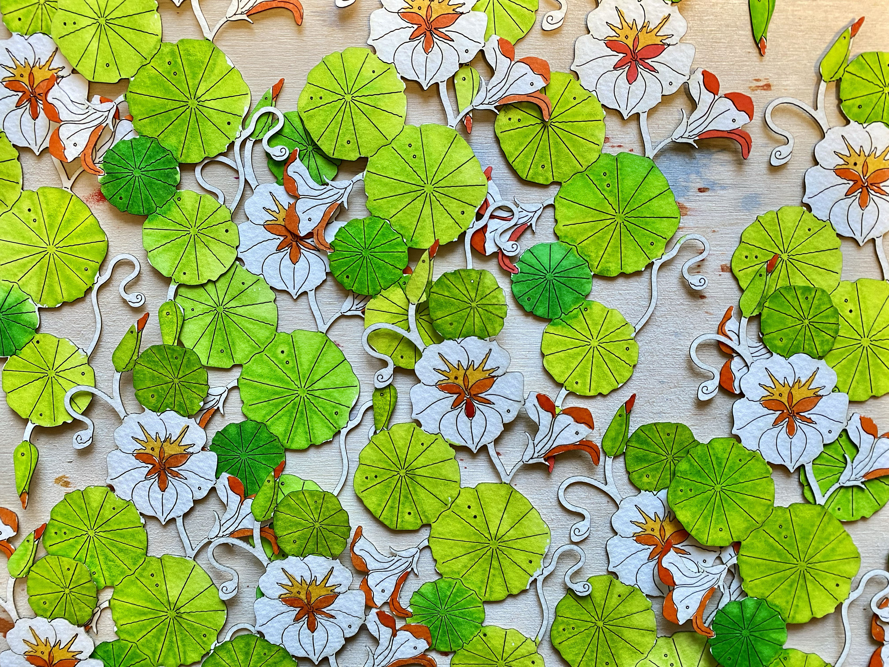 Nasturtium Leaves Paper Cuts