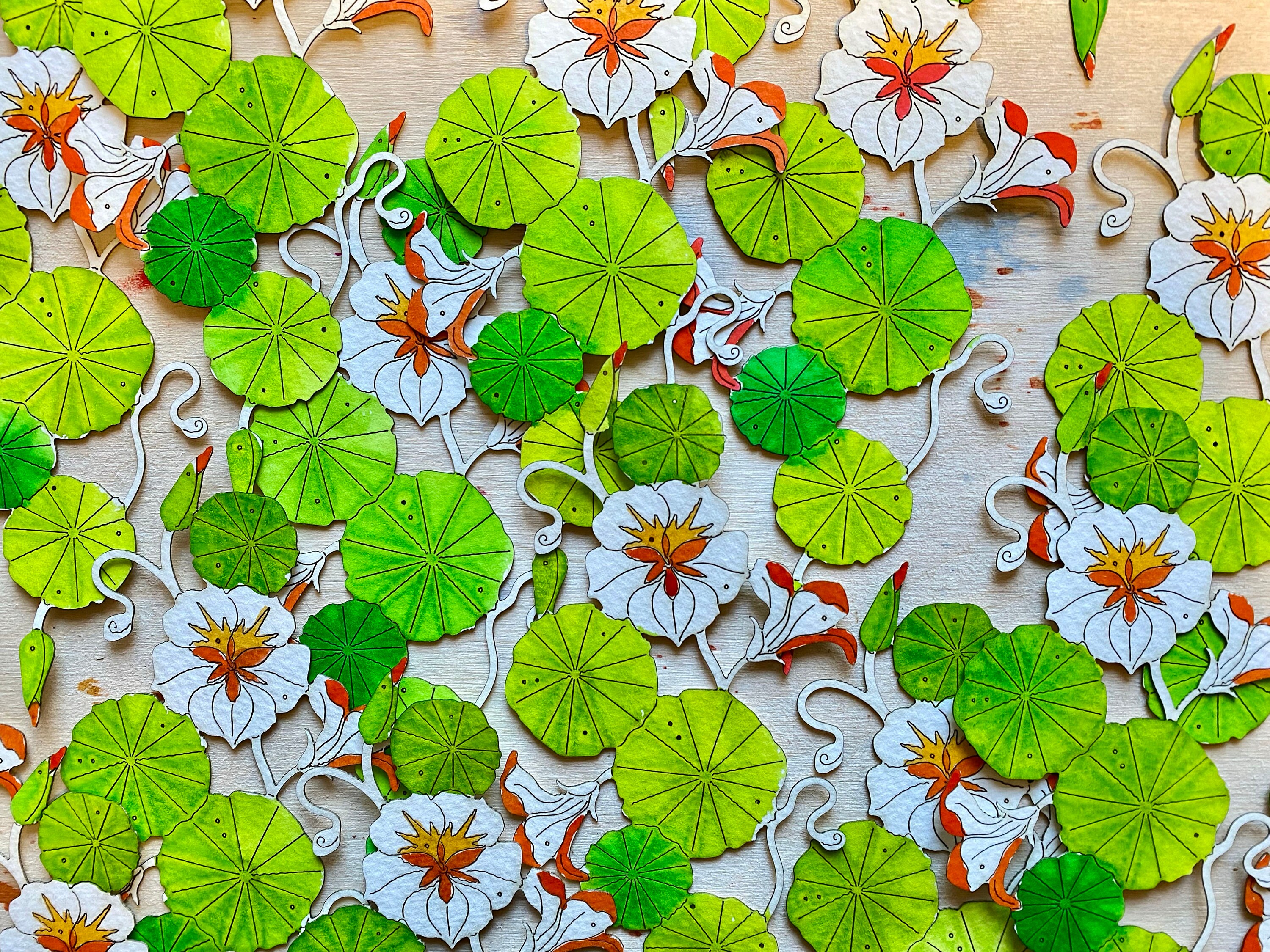 Nasturtium Leaves Paper Cuts