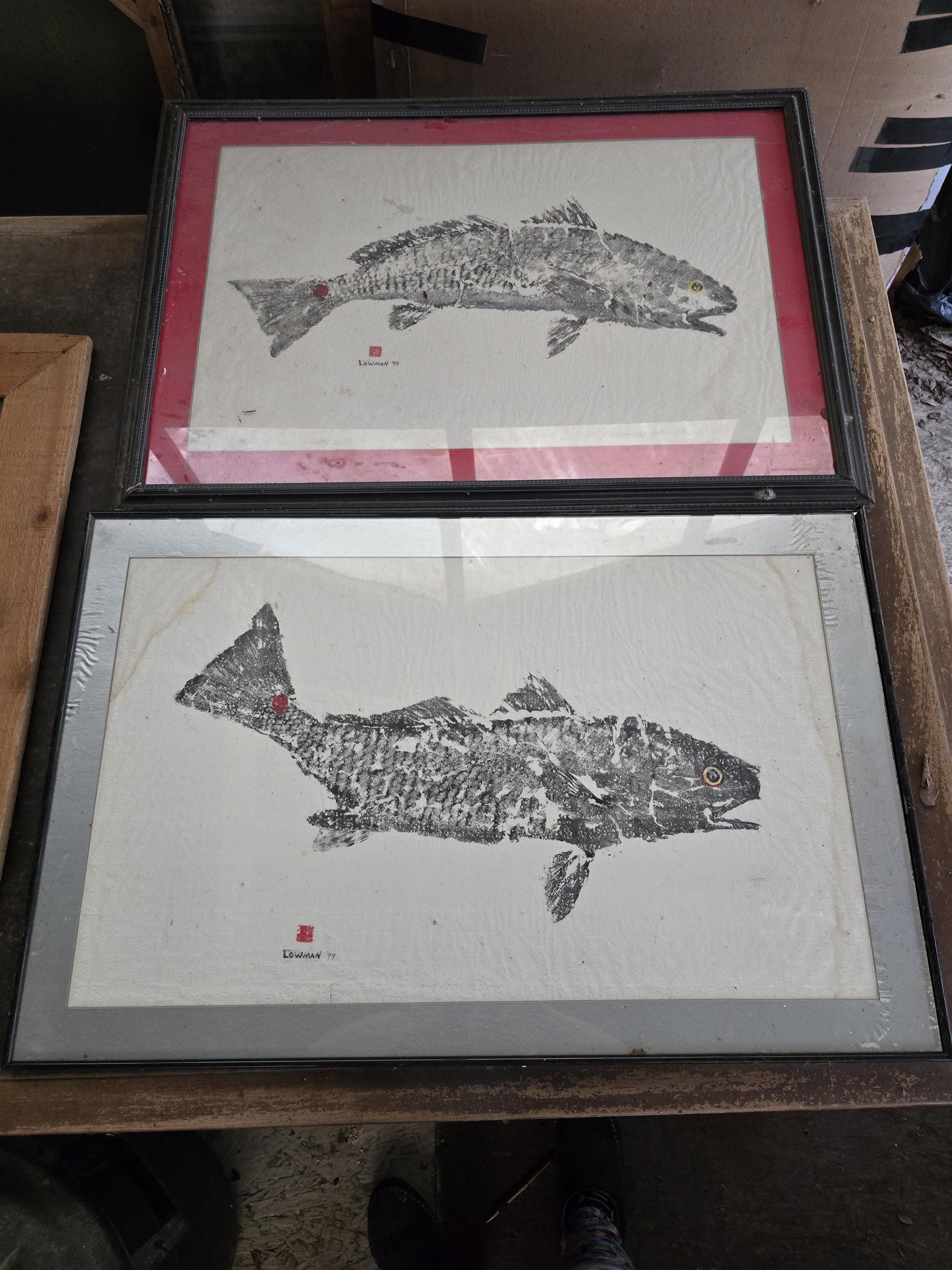 framed fish prints