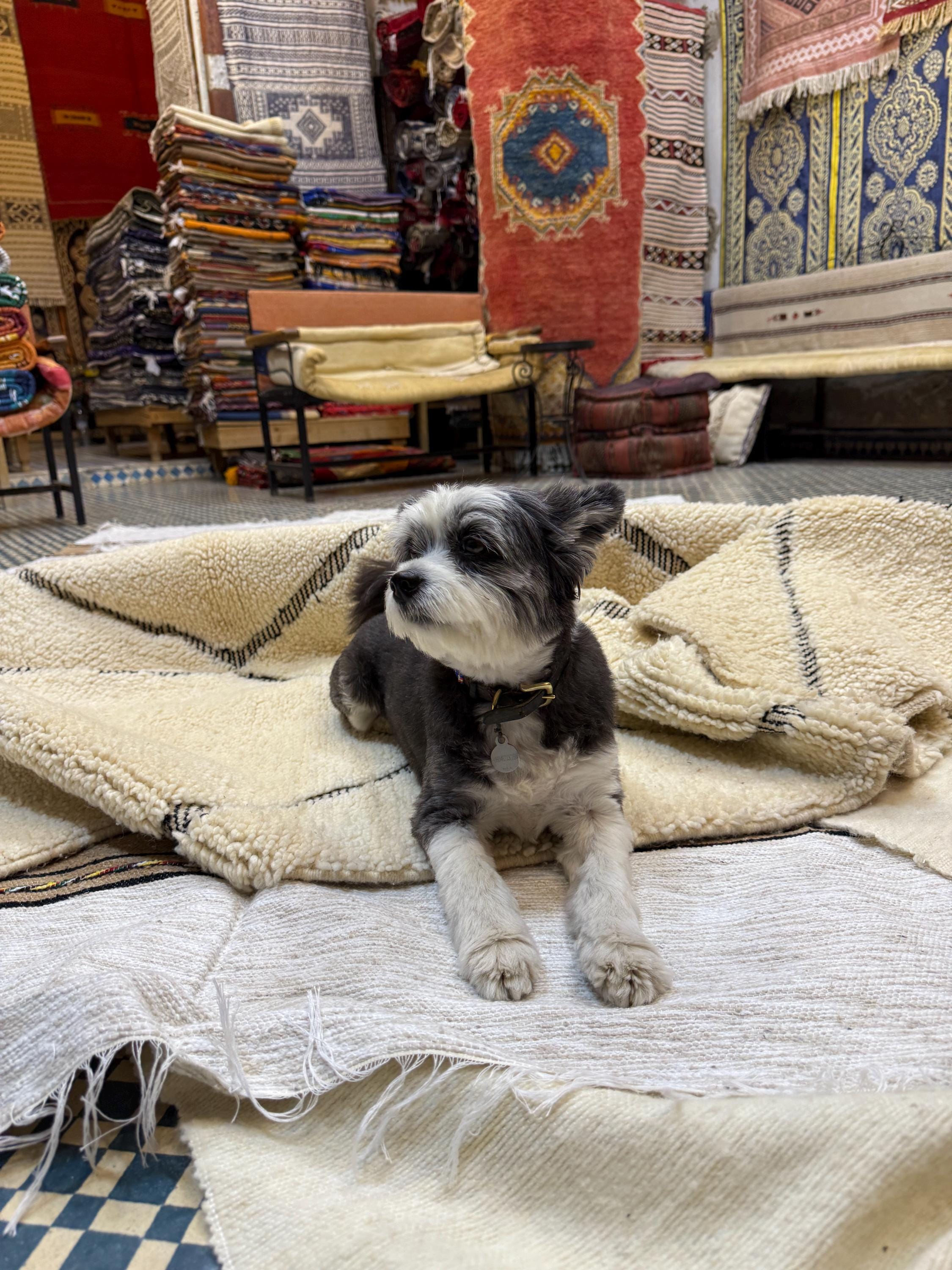dogs love natural blankets