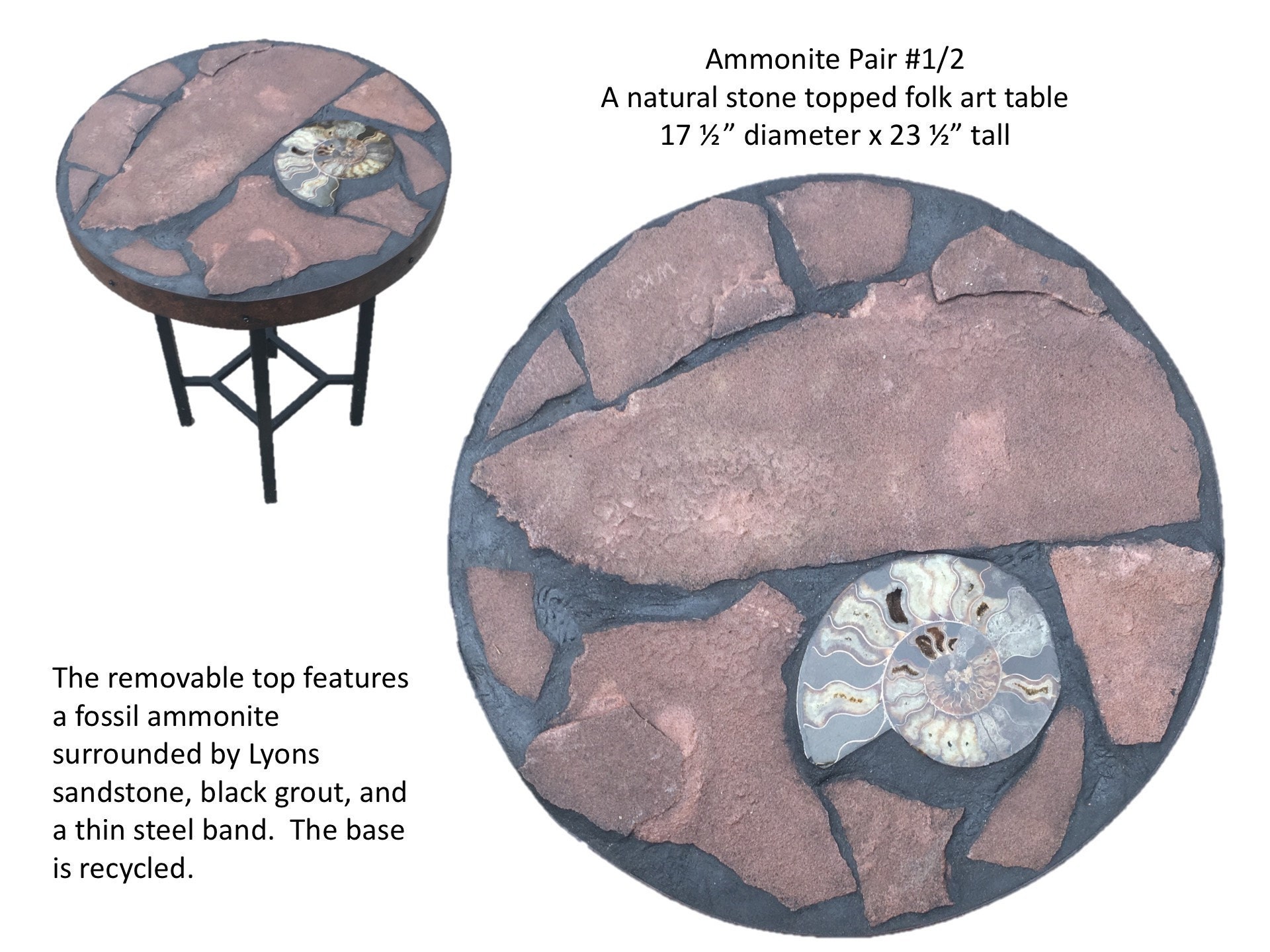 Ammonite Pair #1