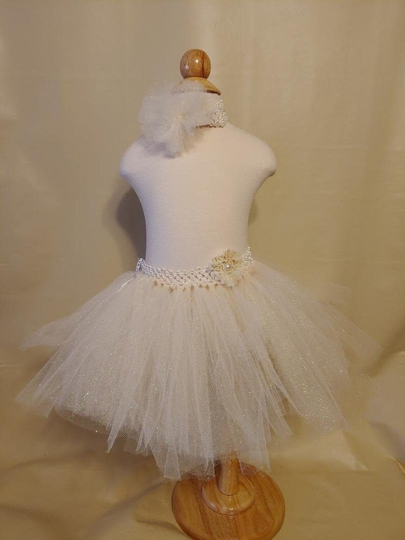 princess tutu and head band