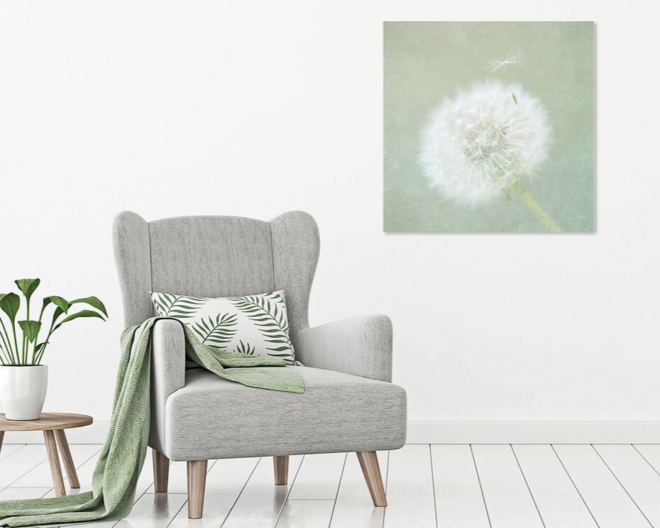 dandelion wall art-dandelion fine art- dandelion prints- dandelion ready to hang canvas