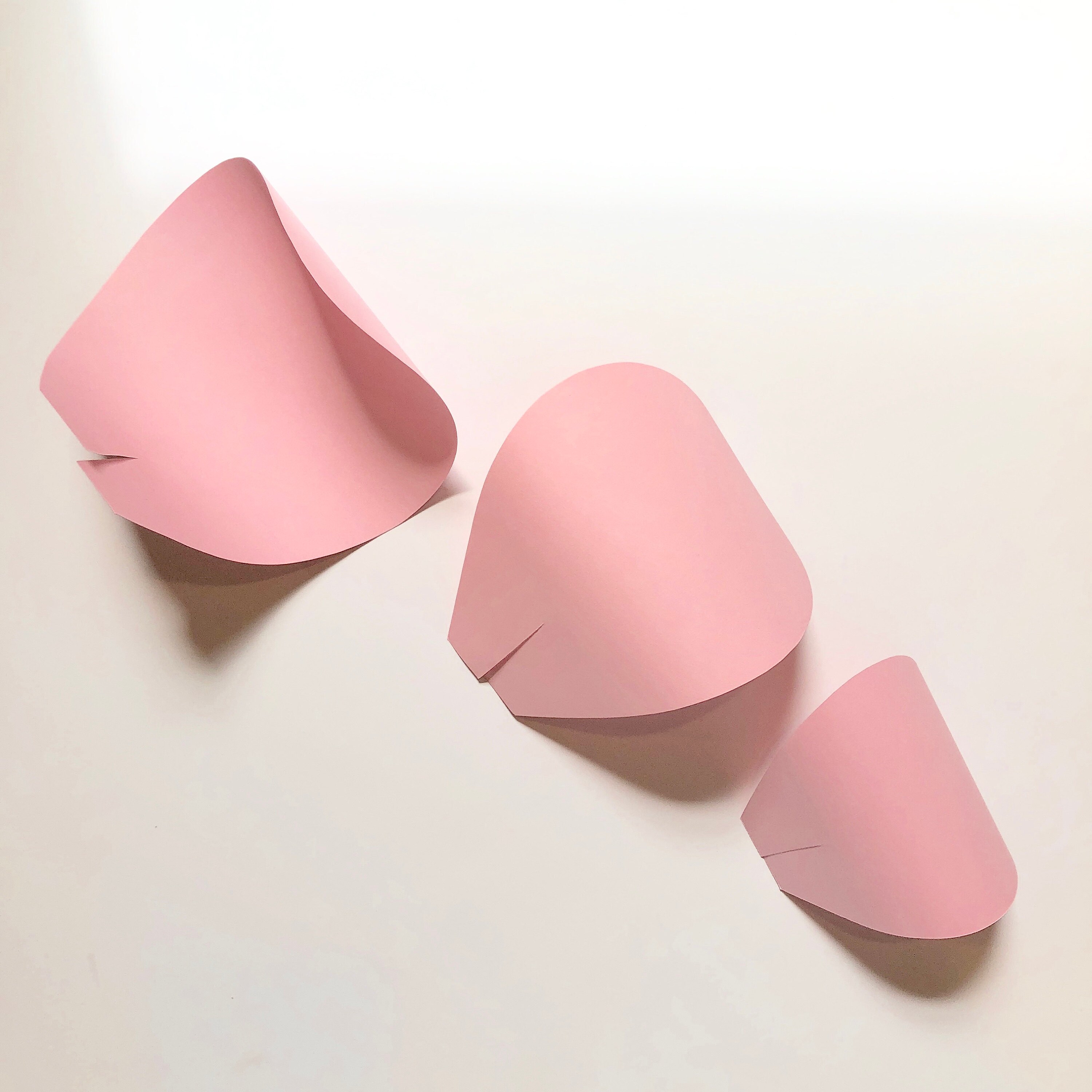 shaped paper petals