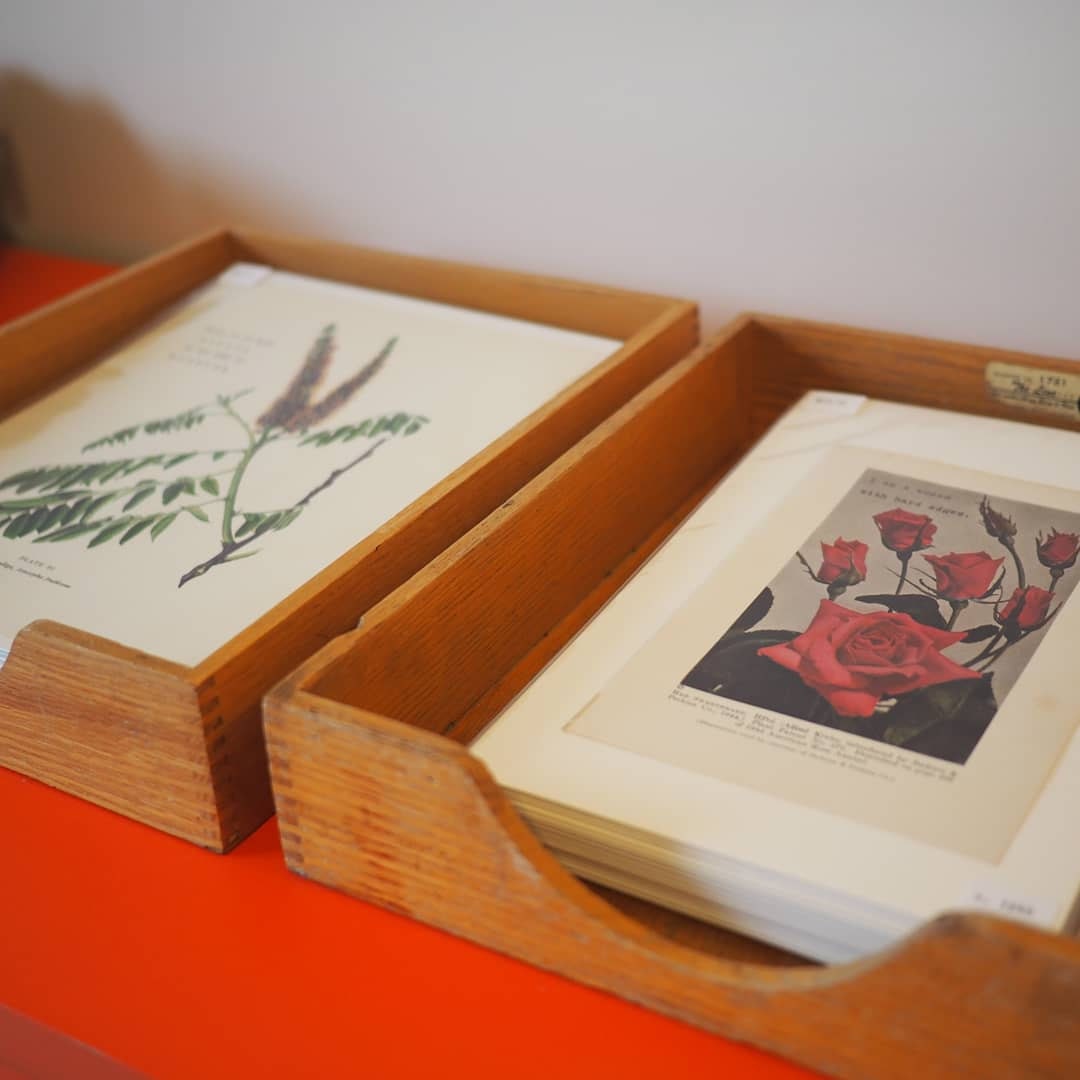 Prints sorted in vintage trays