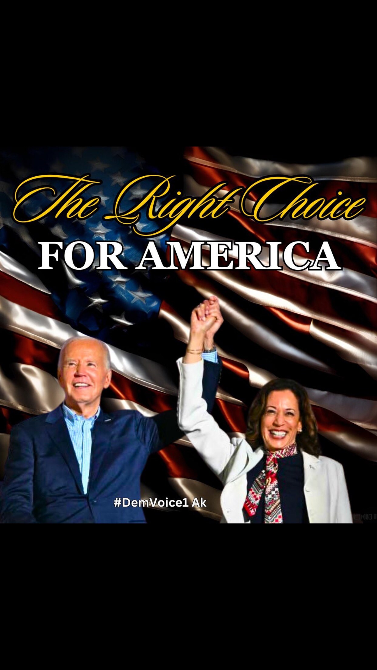 🇺🇸President Biden/Vice-President Harris💙