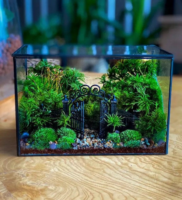 secret garden terrarium