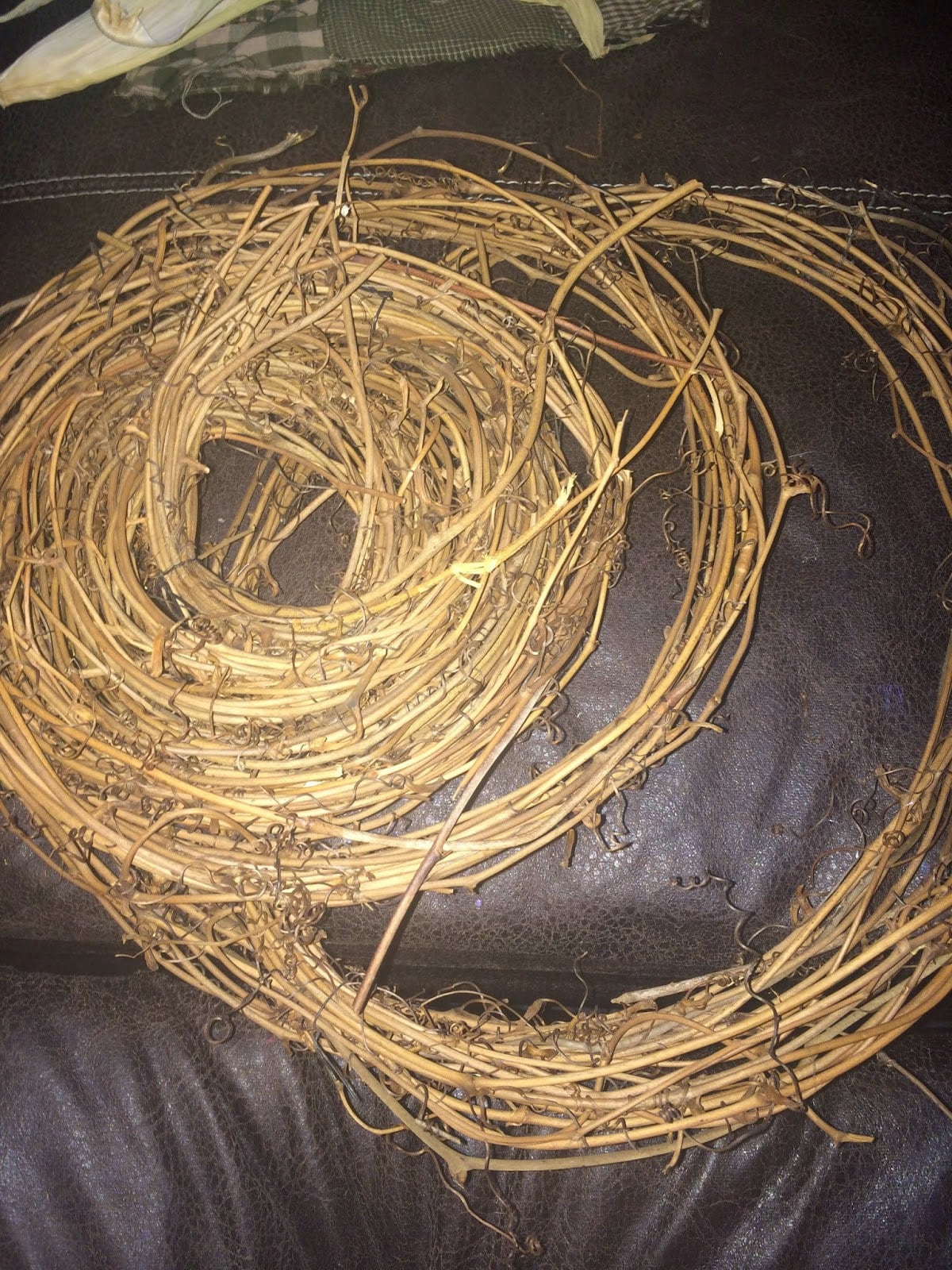 Grapevine being shaped into a wreath form