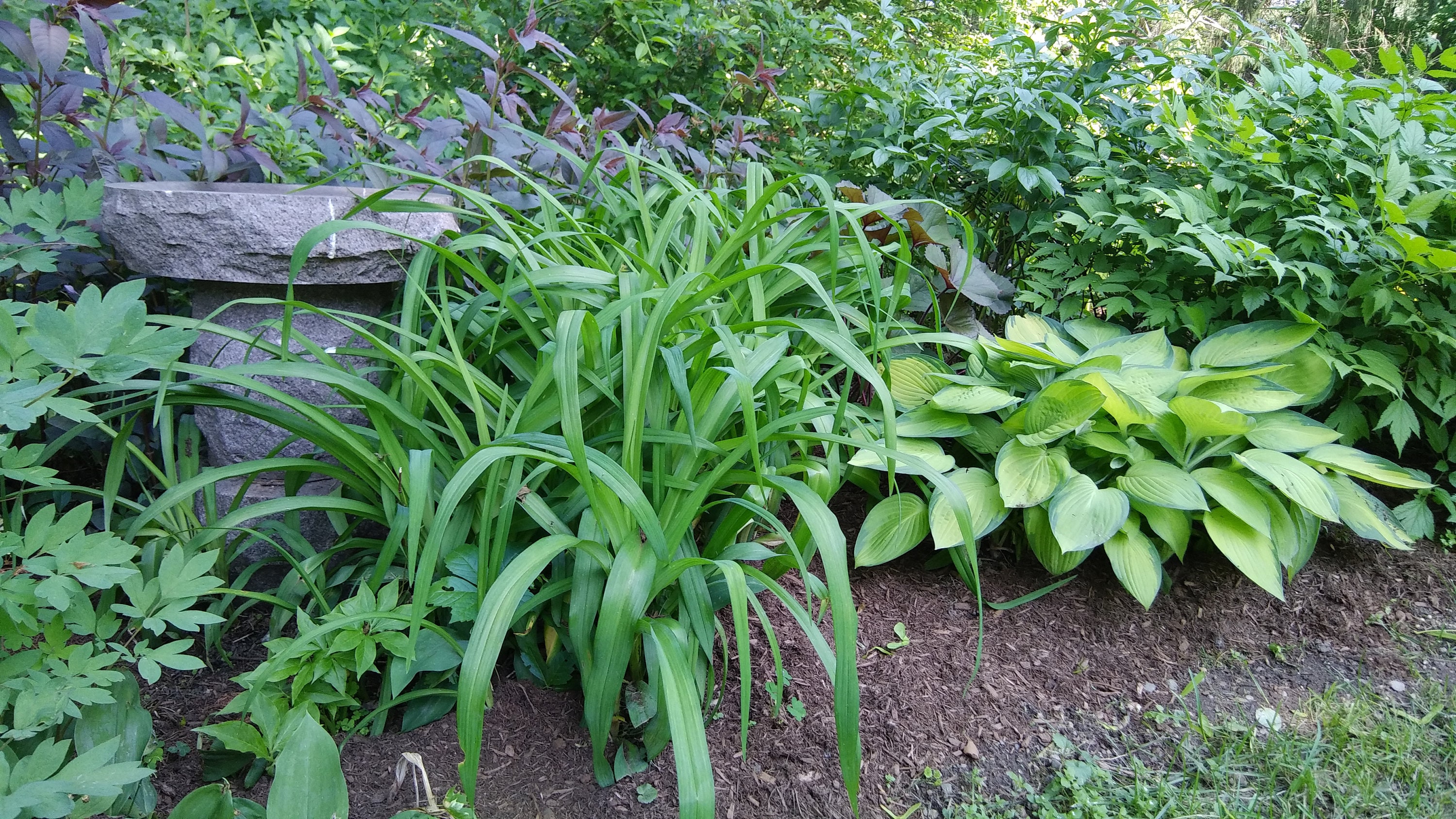 birdbath and plants - kathyzolafiber