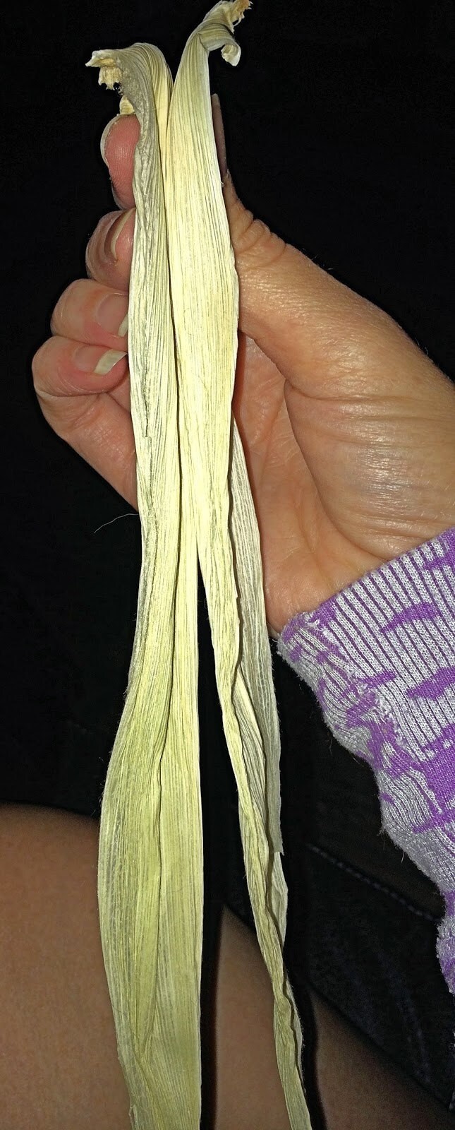 Two corn husks placed back to back to start a corn dolly
