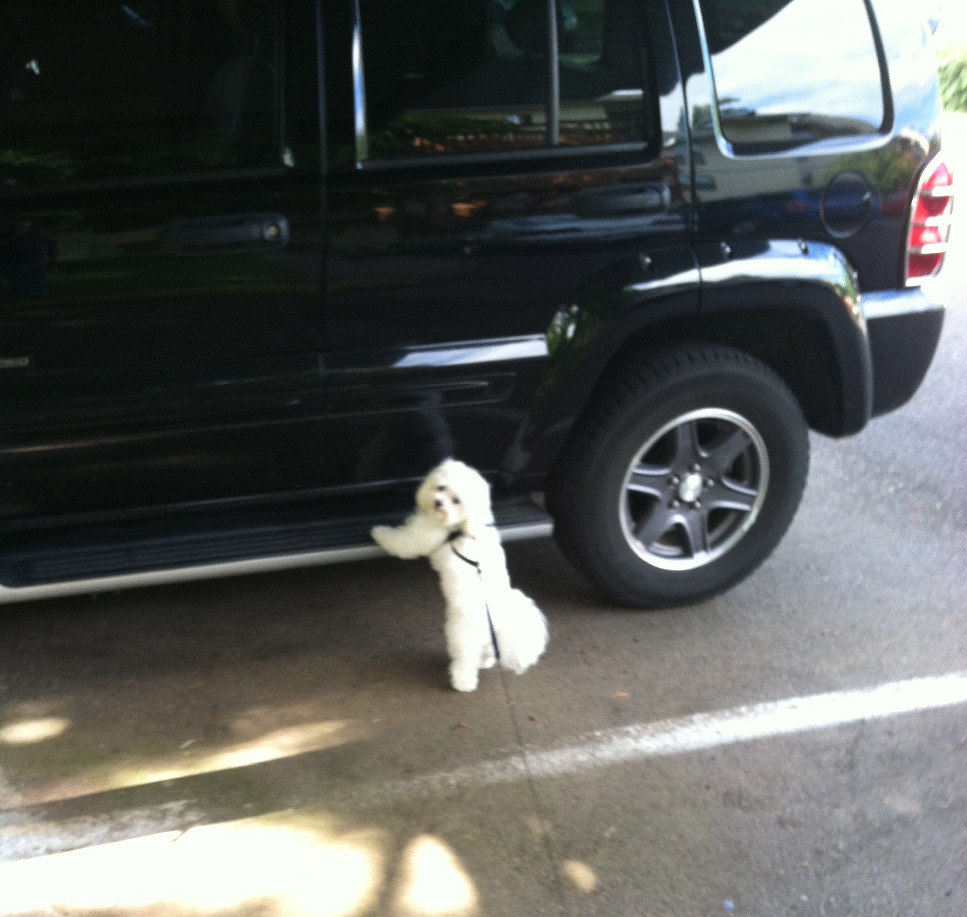 wanting to go for a ride