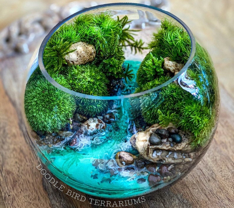 A moss terrarium depicting a miniature landscape scene