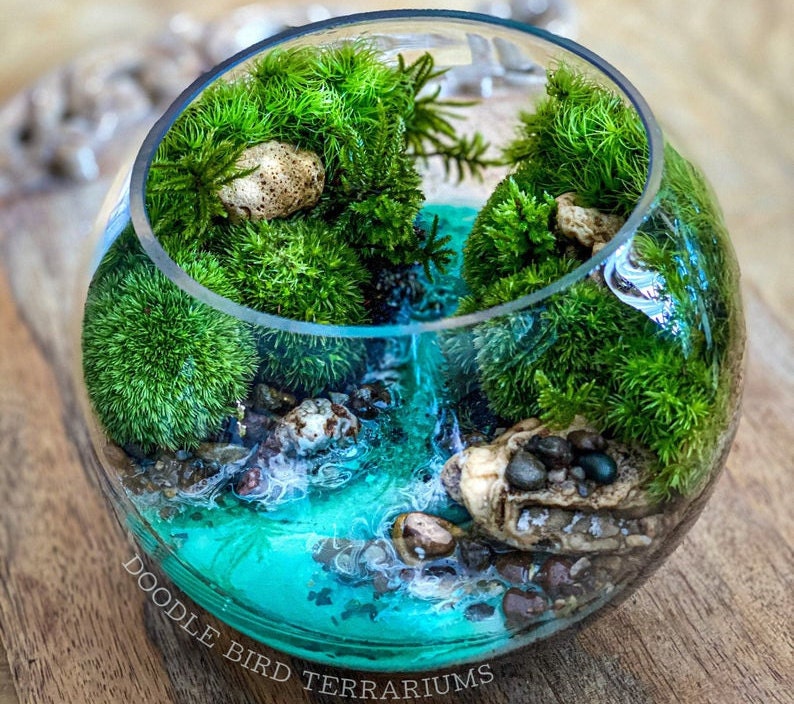 No Fuss, No Water, Moss Terrarium