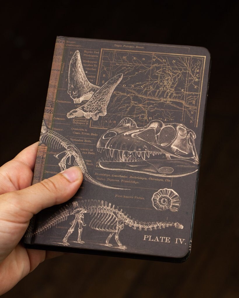 Dinosaur Journal