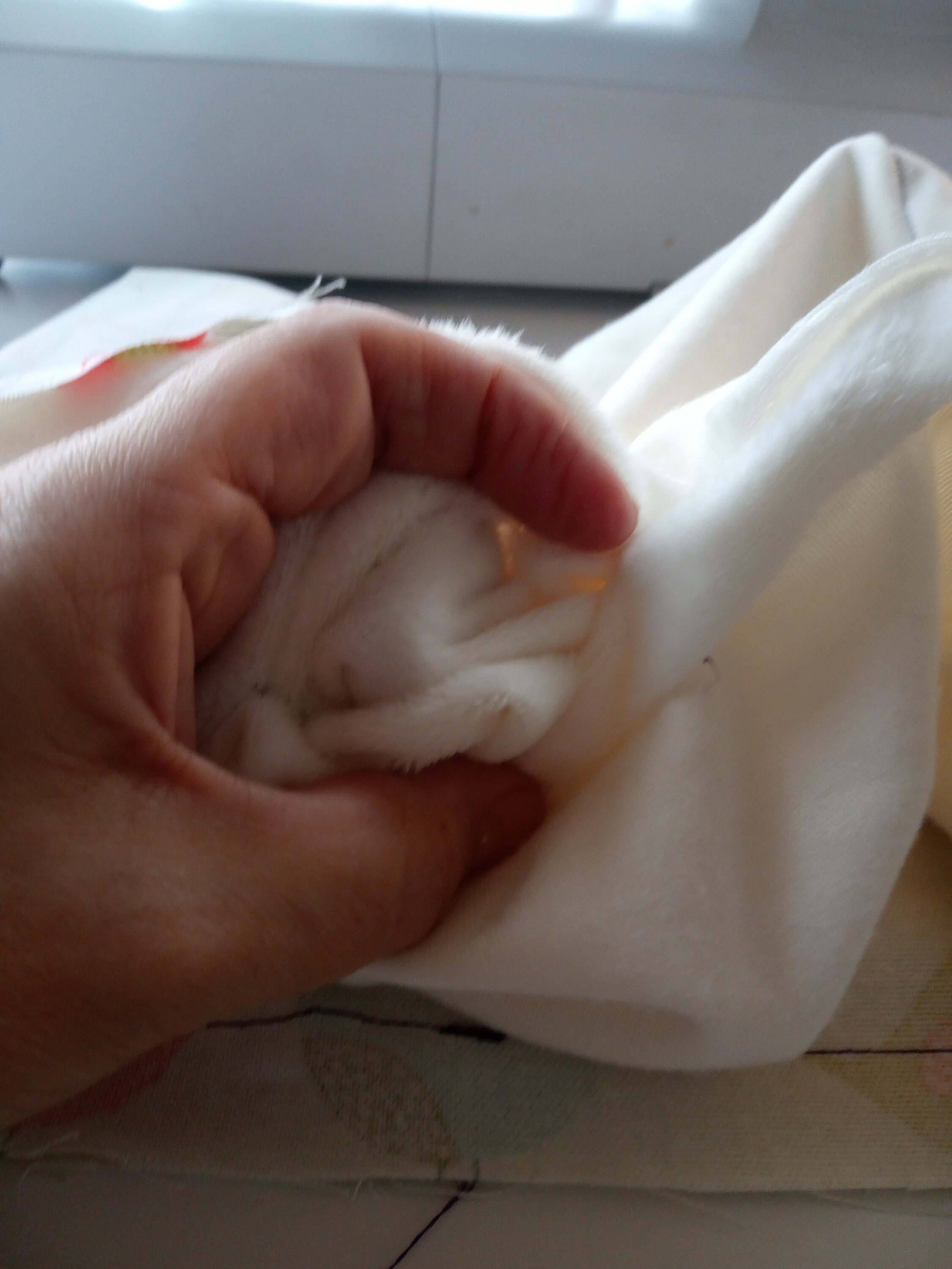 Push-the-fabric-through
