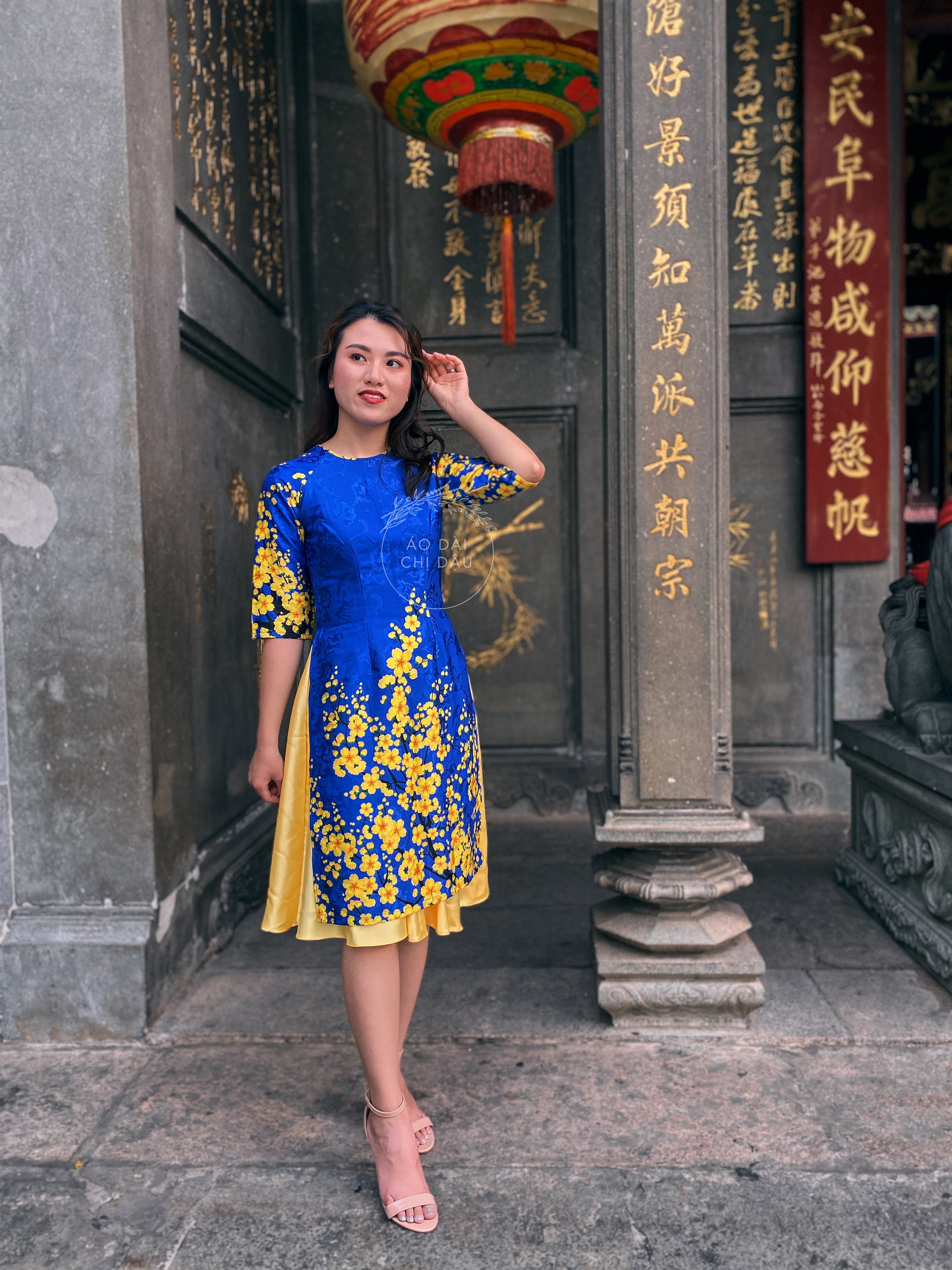 Modern Ao Dai