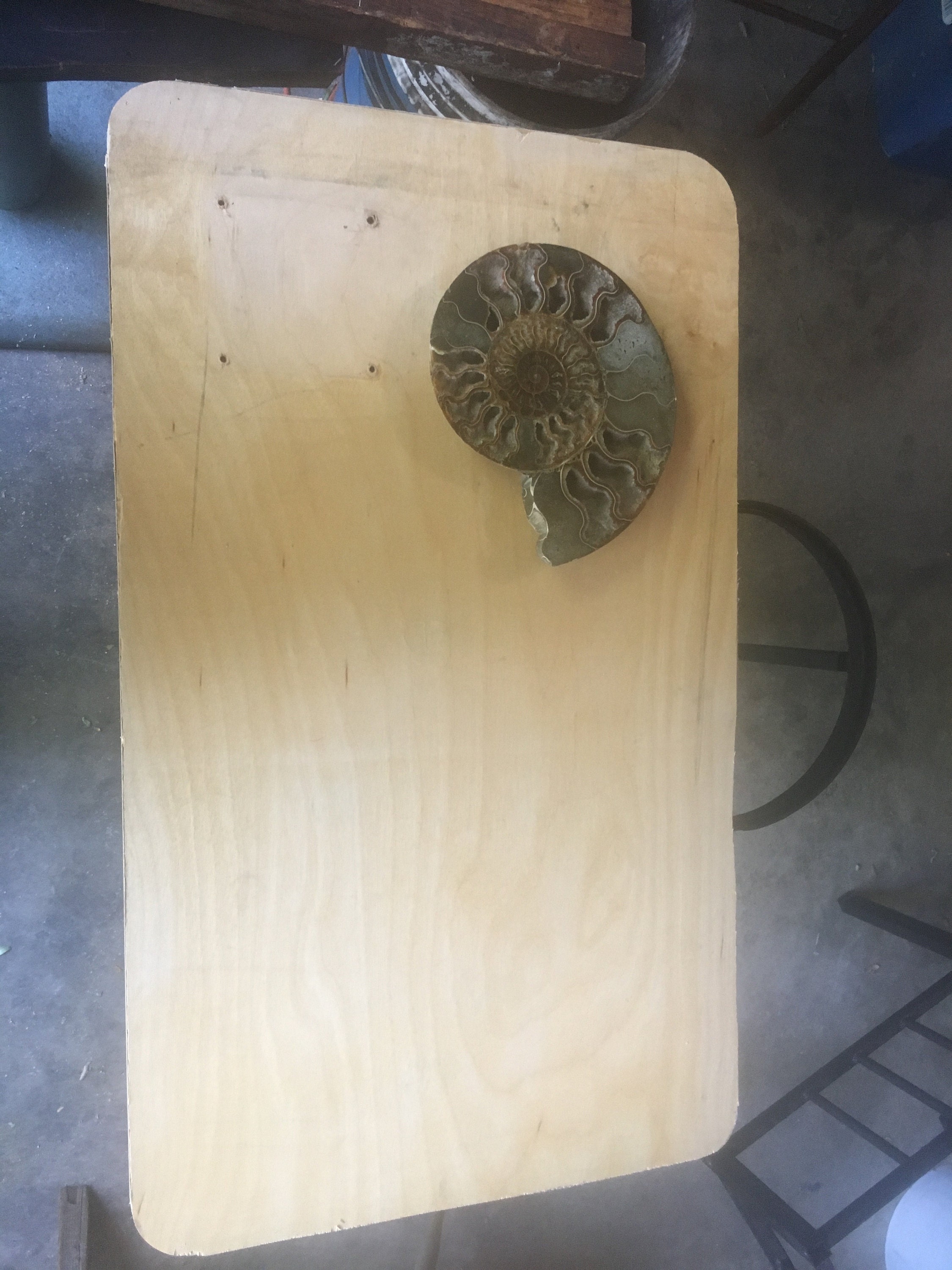 Would this ammonite look best on my new sofa / side table