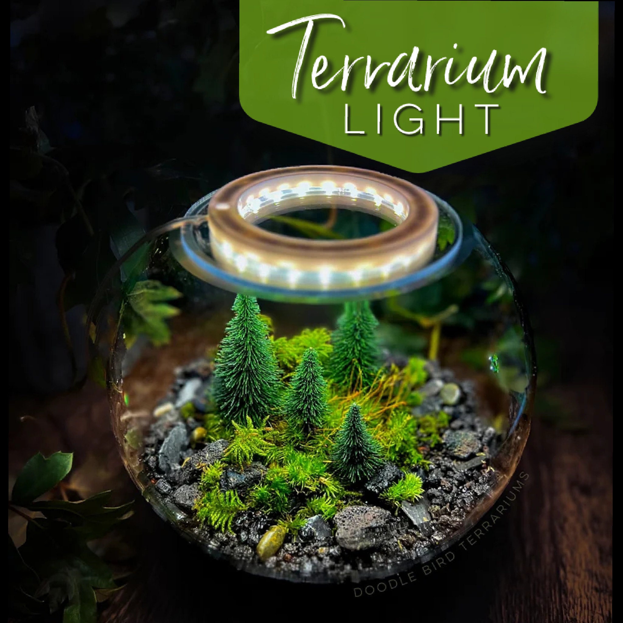 Small halo grow light for terrariums