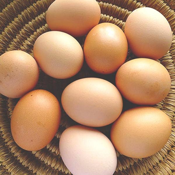 Free range eggs