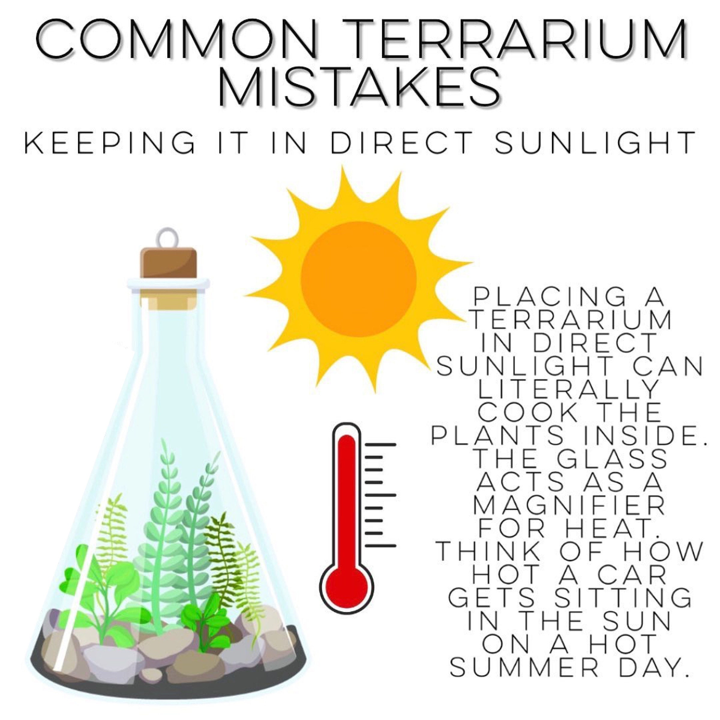 Common terrarium mistakes