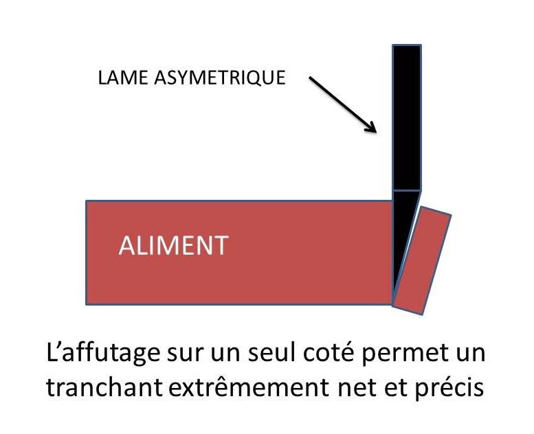 L’affutage unilatéral permet un tranchant extrêmement net et précis