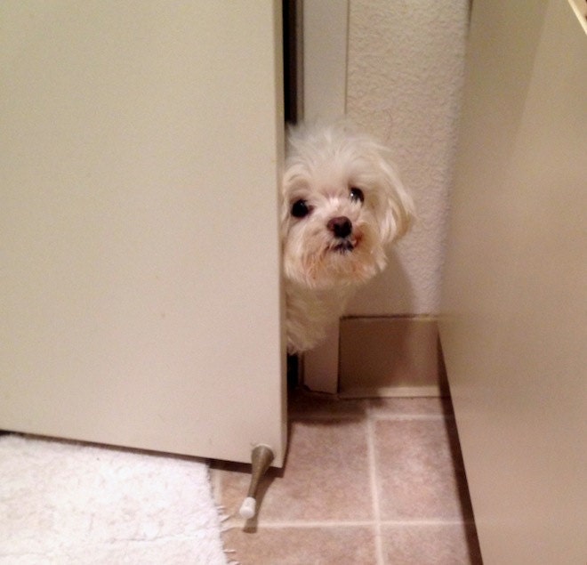 checking to see what i was doing