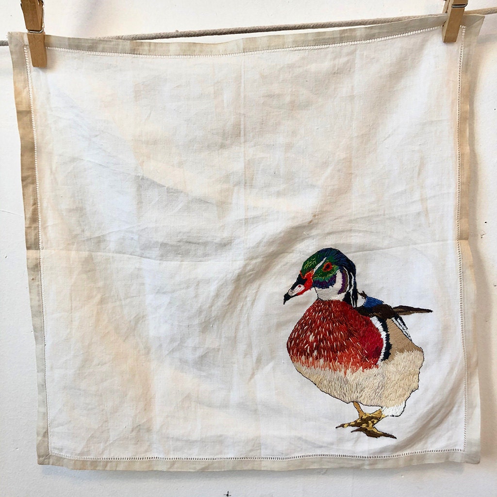 Aix sponsa (Wood Duck), Hanging them out to Dry Series