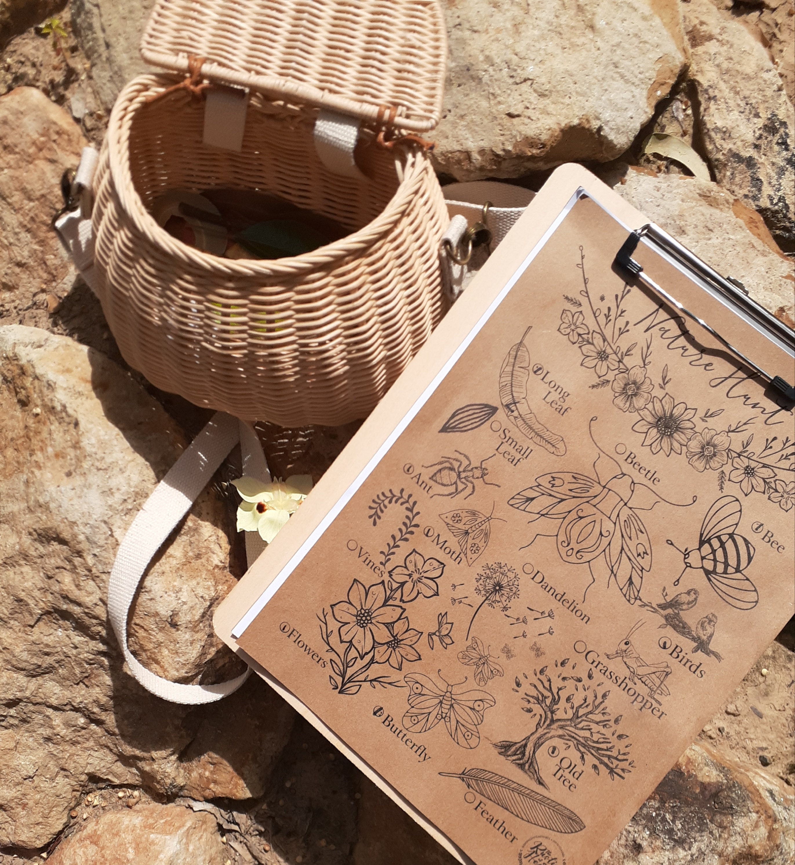 Nature Activity Sheet
