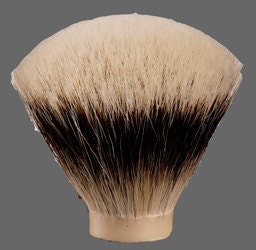WT - SHD (No. 5)