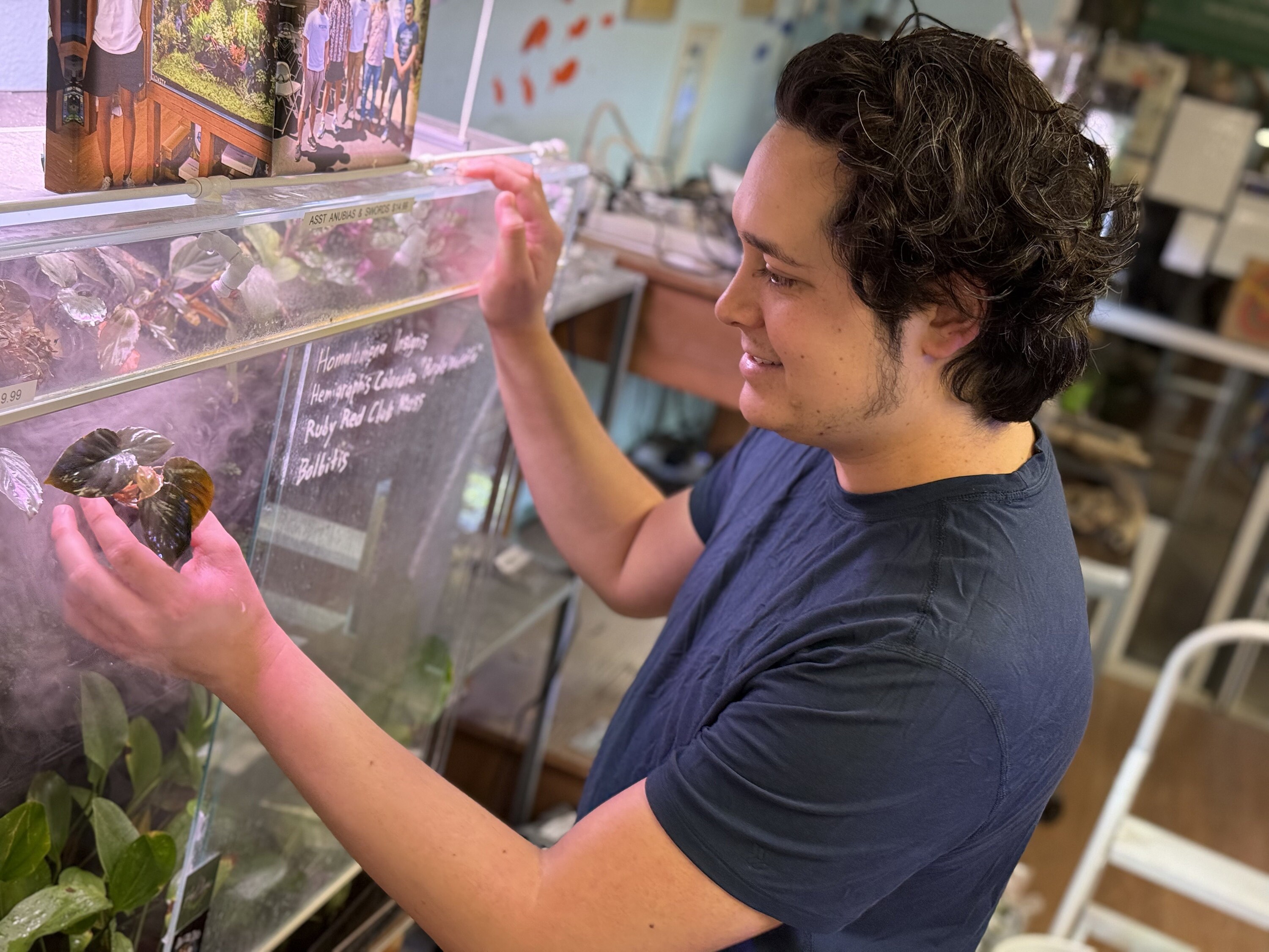 Pascal hand-selecting some aquascape plants for our paladurium