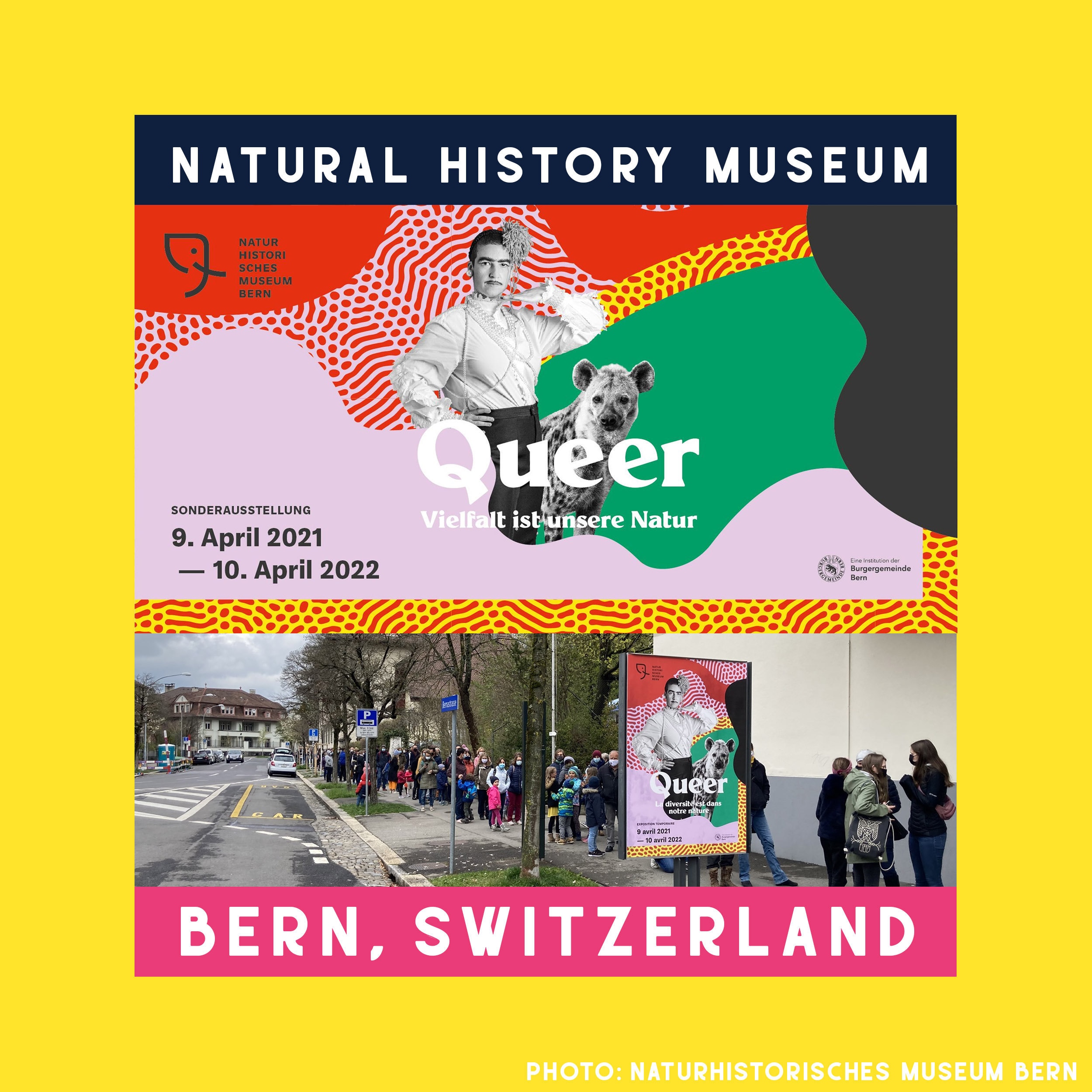 Natural History Museum of Bern The Pin Prick Museum Shop Switzerland LGBT Merchandise