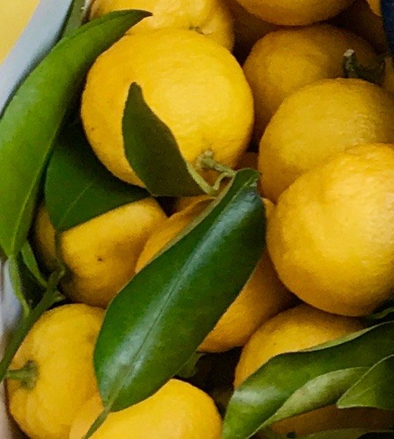 What Is Yuzu and How Do You Use It?