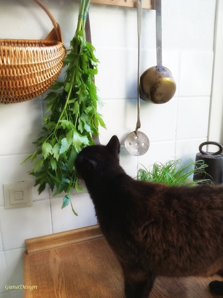 gunadesign kitchen transformation