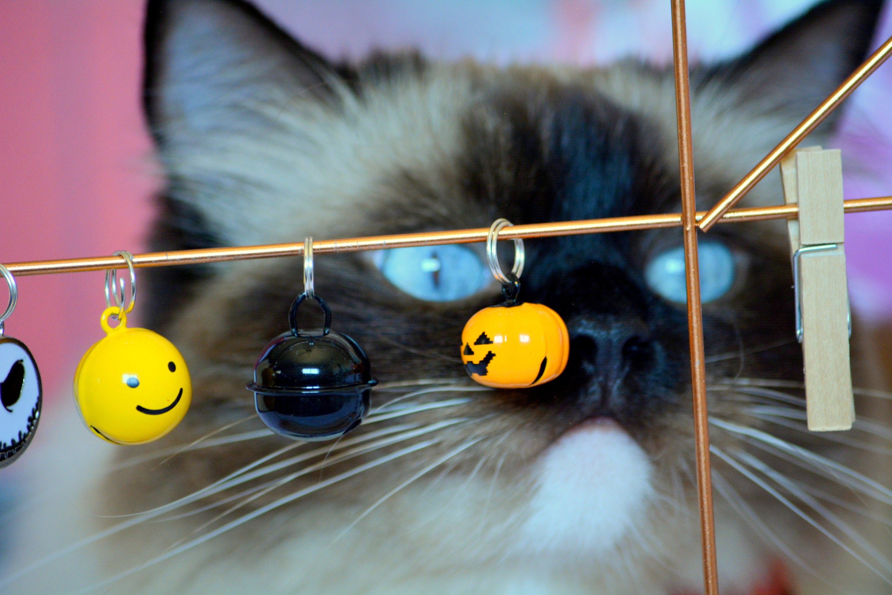 Bells for pet collars